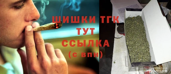 амф Гусь-Хрустальный