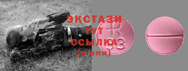 амф Гусь-Хрустальный