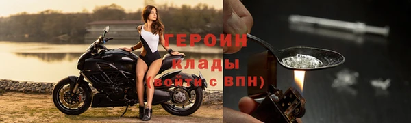 амф Гусь-Хрустальный