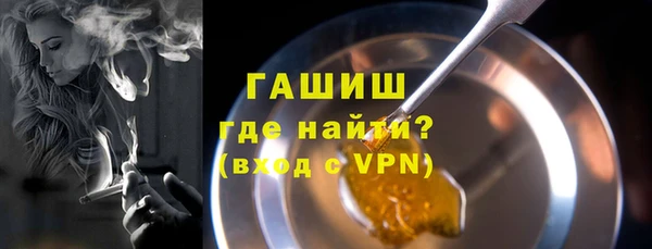 амф Гусь-Хрустальный