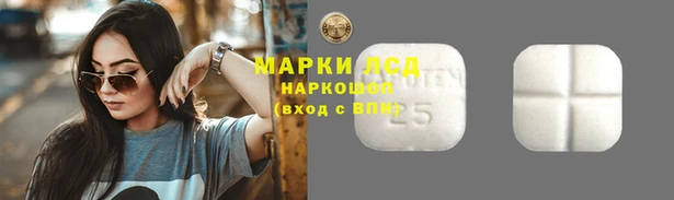 Альфа ПВП Горнозаводск