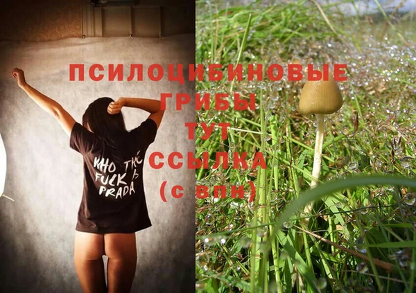 амф Гусь-Хрустальный