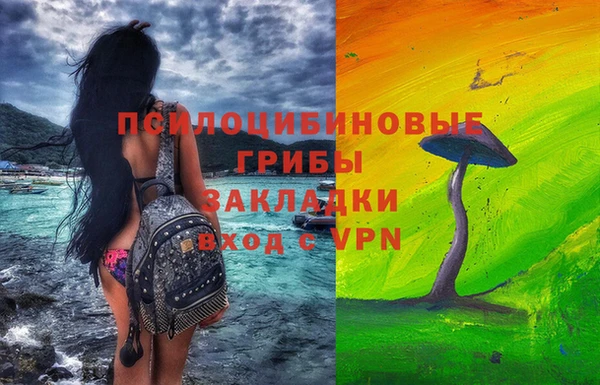 амф Гусь-Хрустальный