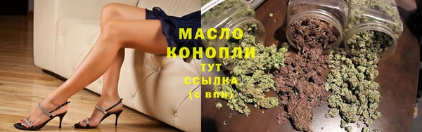 амф Гусь-Хрустальный