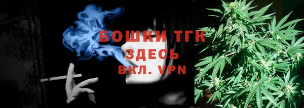ECSTASY Гусев